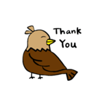 Mr. Eagle（個別スタンプ：11）