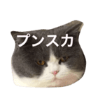 僕はムックです（個別スタンプ：2）