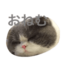 僕はムックです（個別スタンプ：3）