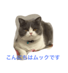 僕はムックです（個別スタンプ：8）
