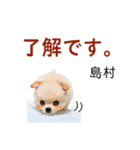 島村さん用の名前スタンプ・子犬イラスト（個別スタンプ：4）