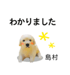 島村さん用の名前スタンプ・子犬イラスト（個別スタンプ：5）