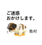 島村さん用の名前スタンプ・子犬イラスト（個別スタンプ：10）