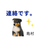 島村さん用の名前スタンプ・子犬イラスト（個別スタンプ：25）