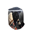 phantom of frenchbulldog（個別スタンプ：4）