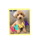 犬だけど、くま。（個別スタンプ：1）