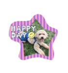 犬だけど、くま。（個別スタンプ：2）
