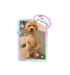 犬だけど、くま。（個別スタンプ：5）