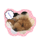 犬だけど、くま。（個別スタンプ：7）