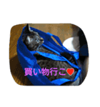 kurosawasan（個別スタンプ：1）