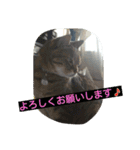 kurosawasan（個別スタンプ：8）