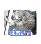 kurosawasan（個別スタンプ：9）