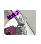 kurosawasan（個別スタンプ：10）