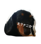 Love Love HANA（個別スタンプ：2）