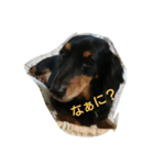 Love Love HANA（個別スタンプ：8）