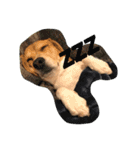 びーぐる犬 ココ（個別スタンプ：13）