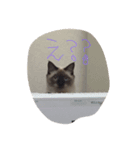 アクア0501（個別スタンプ：7）