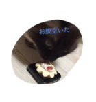 アクア0501（個別スタンプ：11）