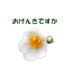 花を添えて（個別スタンプ：1）