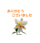 花を添えて（個別スタンプ：2）