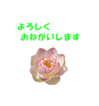 花を添えて（個別スタンプ：3）