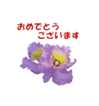 花を添えて（個別スタンプ：4）