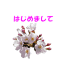 花を添えて（個別スタンプ：6）