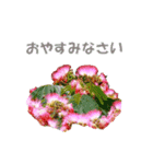 花を添えて（個別スタンプ：7）