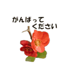 花を添えて（個別スタンプ：9）
