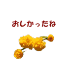 花を添えて（個別スタンプ：10）