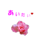 花を添えて（個別スタンプ：12）