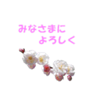 花を添えて（個別スタンプ：13）
