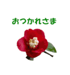花を添えて（個別スタンプ：15）