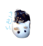 のんちゃんときどきななちゃん 2（個別スタンプ：4）