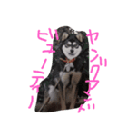のんちゃんときどきななちゃん 2（個別スタンプ：7）
