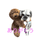 おーちゃんとしょこ（個別スタンプ：5）