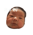 稜ちゃま（個別スタンプ：5）