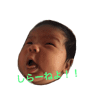 稜ちゃま（個別スタンプ：8）
