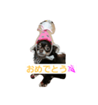 cocoaさん（個別スタンプ：3）