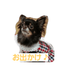 cocoaさん（個別スタンプ：4）