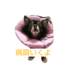 cocoaさん（個別スタンプ：8）