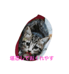 norasan's（個別スタンプ：6）