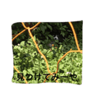 norasan's（個別スタンプ：7）
