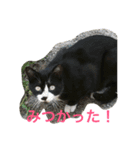norasan's（個別スタンプ：9）