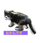 norasan's（個別スタンプ：14）