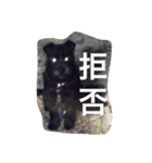 番犬テツ（個別スタンプ：5）
