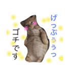 我が家のにゃーpartにゃー（個別スタンプ：9）