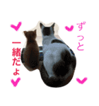我が家のにゃーpartにゃー（個別スタンプ：17）