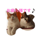 我が家のにゃーpartにゃー（個別スタンプ：21）