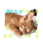 我が家のにゃーpartにゃー（個別スタンプ：28）